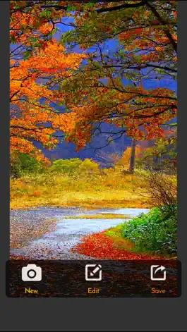 Game screenshot iFilter Free Photo and Camera Editor mod apk