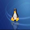 Guia Rapida Linux