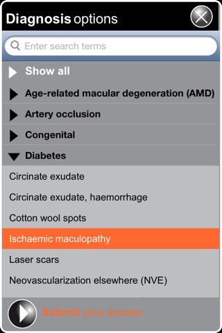The Virtual Ophthalmoscope screenshot 4