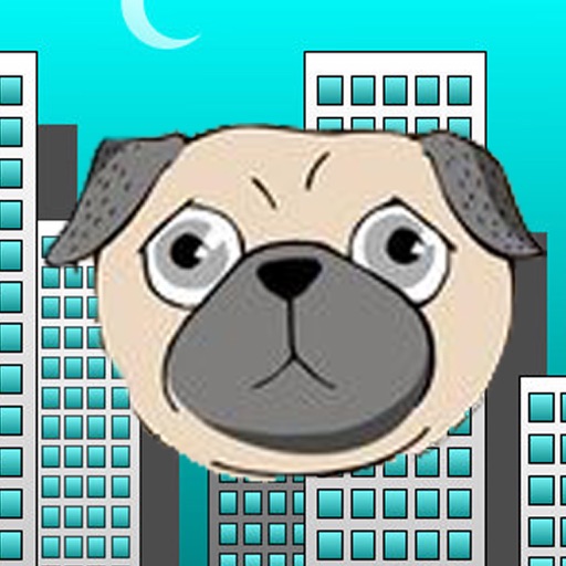 Pug Bounce 2015 icon