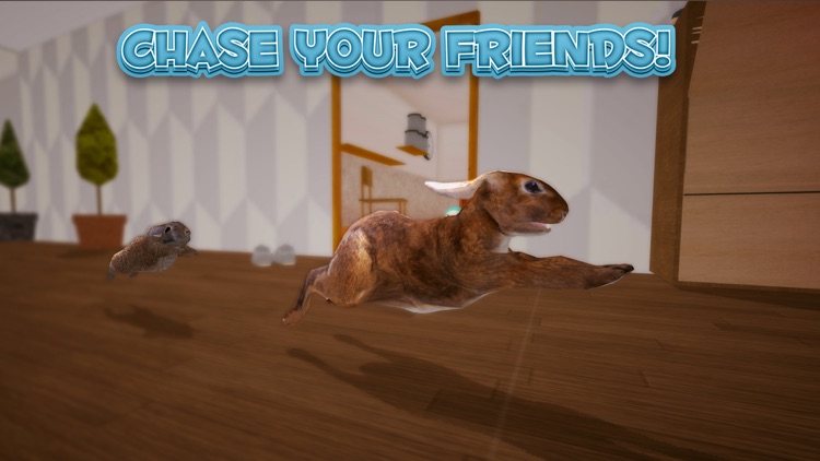 Bunny Simulator screenshot-3