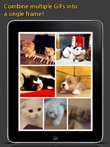 Screenshot #4 pour GIF Grid - Combine multiple GIFs into frames