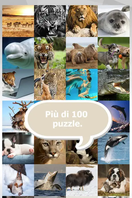 Animal Puzzle Game HD