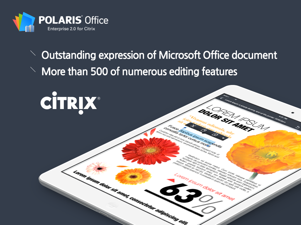 POLARIS Office for Citrix screenshot 7