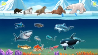 Amazing Ocean Animals- Educational Learning Apps for Kids Freeのおすすめ画像3