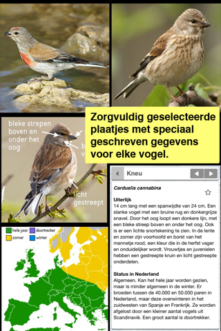Vogels in Nederland - Zakgids screenshot 2