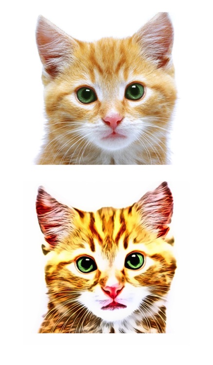 Cartoon Caricatures - Turn your Photos into Realistic Toon Characters screenshot-3