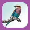 Sasol eBirds of the Kruger National Park App Positive Reviews
