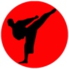 Shotokan Karate Kihon Kumite