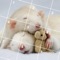 Cute Mouse Jigsaw Puzzle is a mini-game puzzle about cute mouse