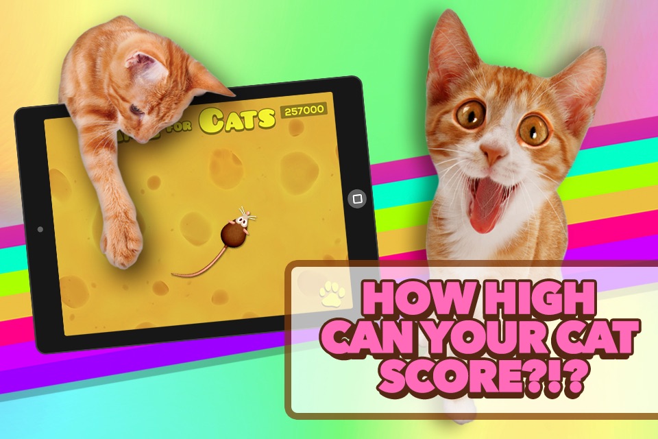 Game for Cats screenshot 4