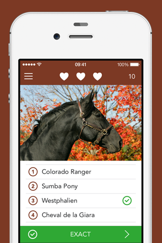 iKnow Horses 2 PRO - The Reference Work screenshot 4