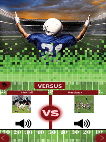 Touchdown Football Edtion iPad screenshot