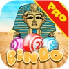 King Tut Bingo PRO - Bingohall Shootout