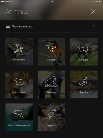 Screenshot #5 pour Animaux du Monde : Sons et Photos