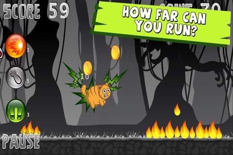 Fatso Catso screenshot 3