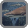 Shark Hunter: Carnage