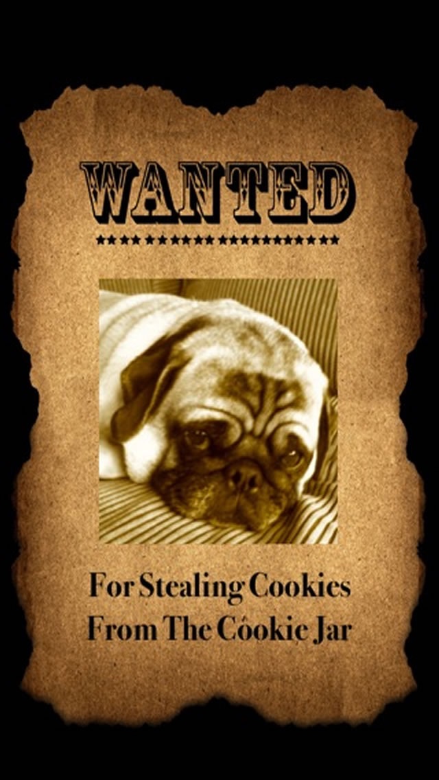 Wanted Poster Boothのおすすめ画像1