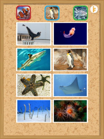 Screenshot #5 pour とびだす水族館