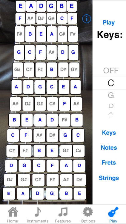Electric Guitar Fretboard Addict FREE screenshot-3