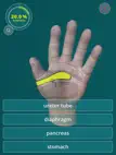 Reflexology Quiz - zones ipad bilder 1