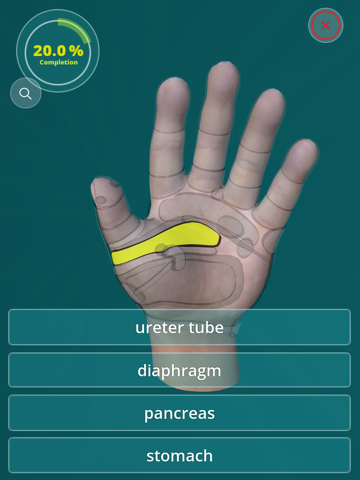 Screenshot #5 pour Reflexology Quiz - zones