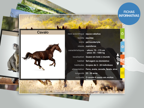 Animals 100 - Real Animals screenshot 3