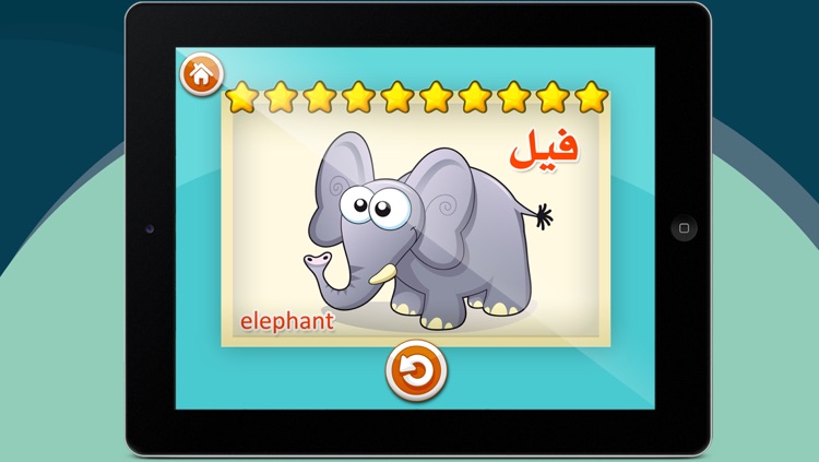 أنا أتعلم screenshot-3