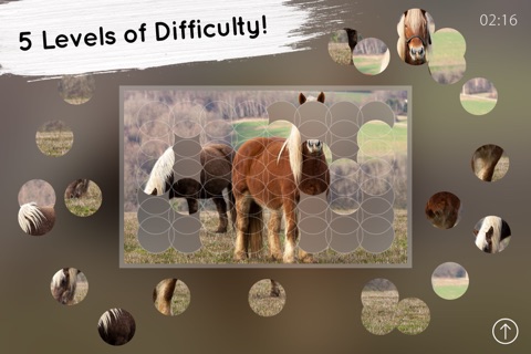 Venn Horses: Overlapping Jigsaw Puzzles screenshot 3