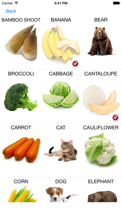 Aha Kids Learn --- A Flashcards build and show tool