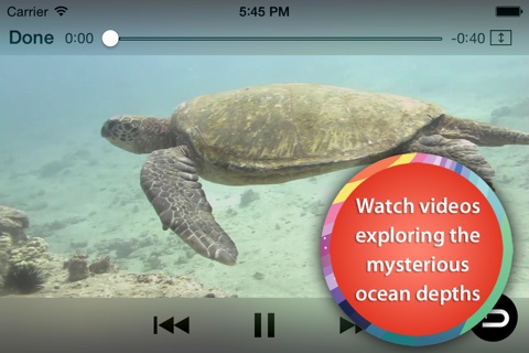 Ocean Animal Learning - Educational Games, Books and Videos about Marine Life by b-creative Journey screenshot 2