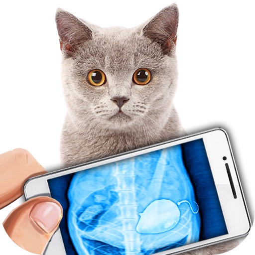 Simulator X-Ray Cat iOS App