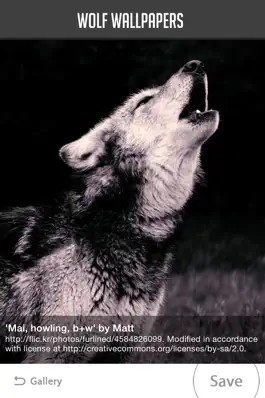 Game screenshot Wolf Wallpaper hack