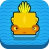 Duck Swim