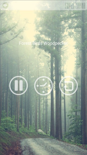 FOREST SOUND - Sound Therapy(圖4)-速報App