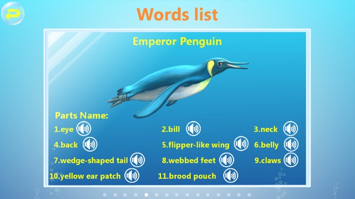 Amazing Ocean Animals- Educational Learning Apps for Kids Free