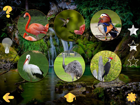 Screenshot #5 pour Our World - kids Learning games and puzzle for kids - Free
