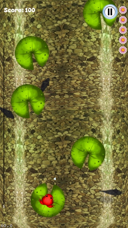 Frog Frogs Escape Pad Jump