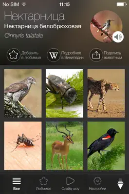 Game screenshot Исследователь мира животных: Звуки и изображения mod apk