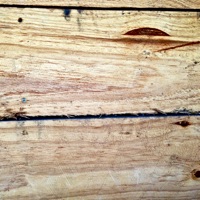 MetaLonsdale app icon - Music app for iPhone