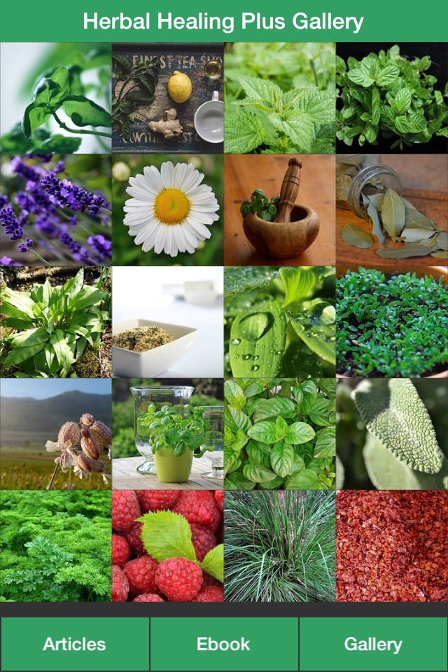 Herbal Healing Plus - A Guide To Treat Your Illnesses With Herbs! screenshot 2