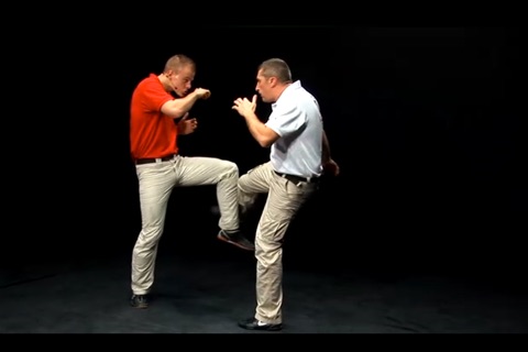 Krav Maga Lesson vol.4 - Defense on Kicks screenshot 2