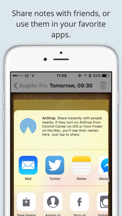 BugMe Stickies Pro - Ink Notepad & Alarms Screenshot 4