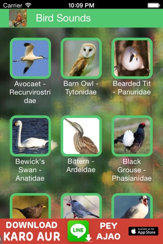 Birds of Britain Soundsのおすすめ画像2