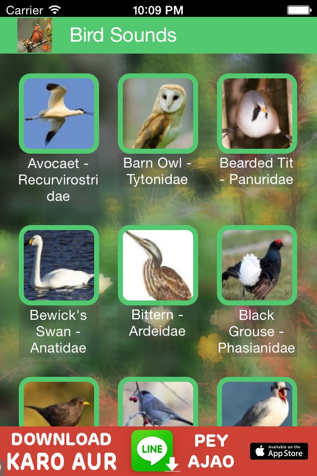 Birds of Britain Sounds screenshot 2