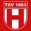 TSV-FB-Planer