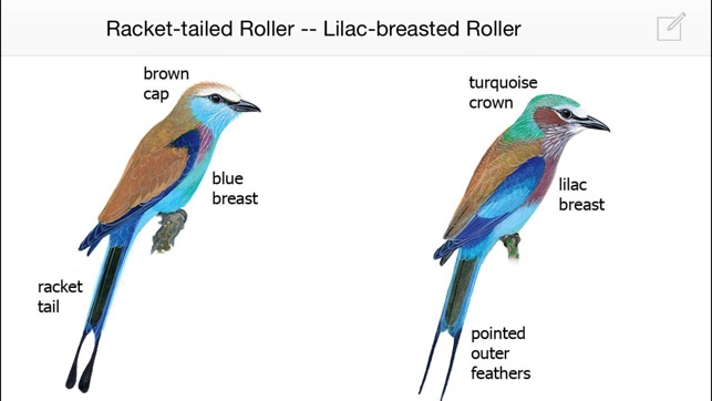 Sasol eBirds of the Kruger National Park(圖5)-速報App