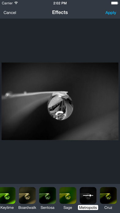 Screenshot #3 pour Muzy