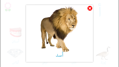 Screenshot #3 pour كتاب مفردات الحروف الأبجدية للأطفال