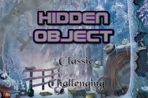 Hidden Object Frozen Treasures screenshot 3